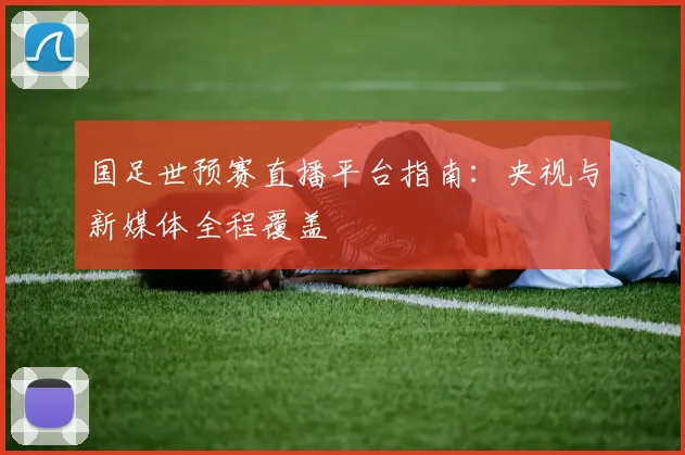 国足世预赛直播平台指南：央视与新媒体全程覆盖