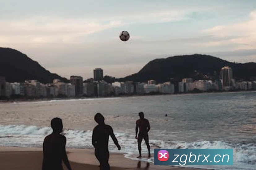 emc易倍全站网页版发展历程